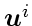 $\mbox{\boldmath$u$}^i$