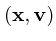 $({\bf x},{\bf v})$