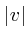 $\vert v\vert$