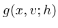 $g(x,v;h)$