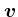 $\mbox{\boldmath$v$}$