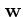 $\mathbf{w}$