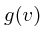$\displaystyle g(v)$